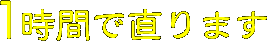 �ۥ�����¨������